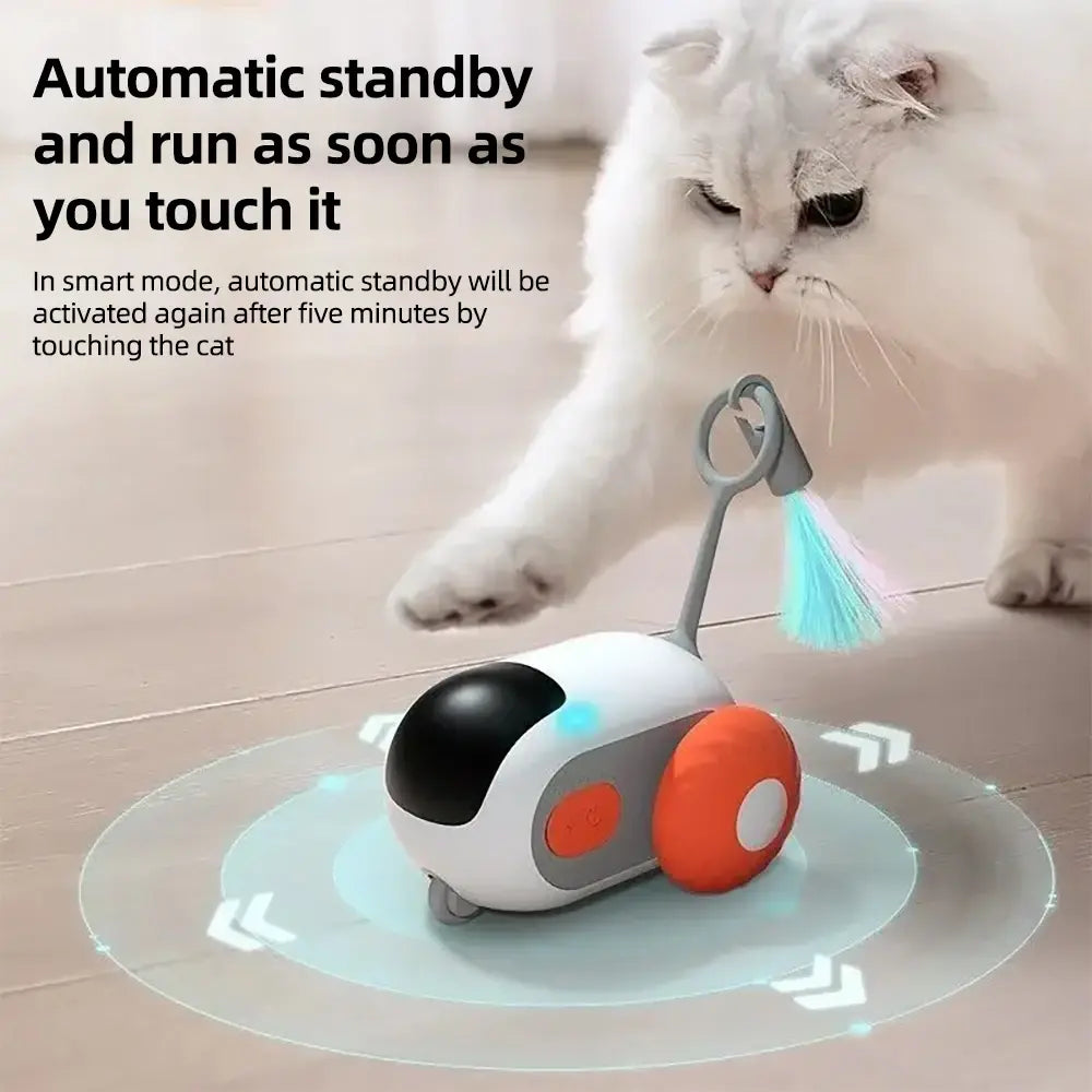 Remote-Controlled Cat Toy Car