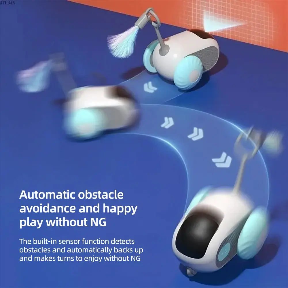 Remote-Controlled Cat Toy Car