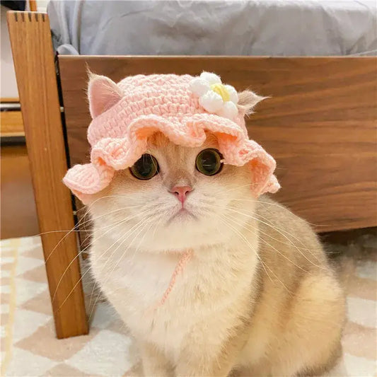 MeowBeanie
